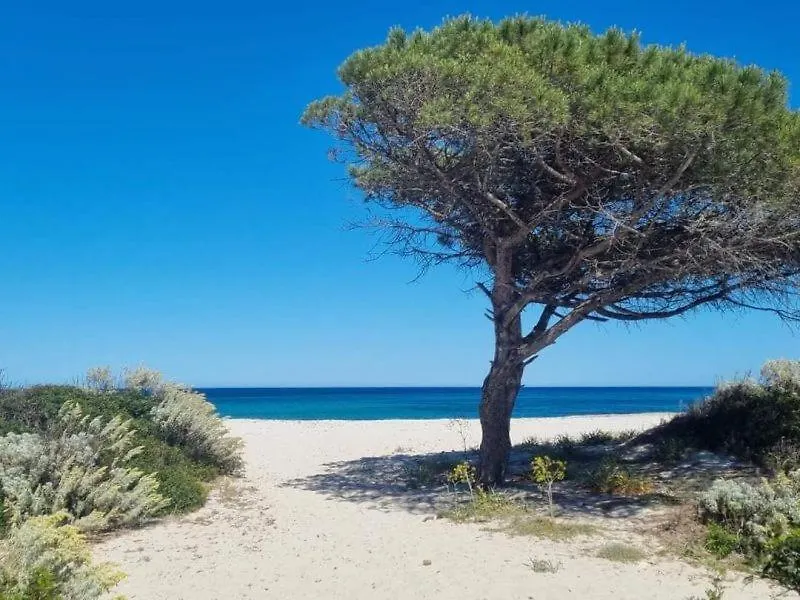 Il Casale Villa Budoni Casa vacanze